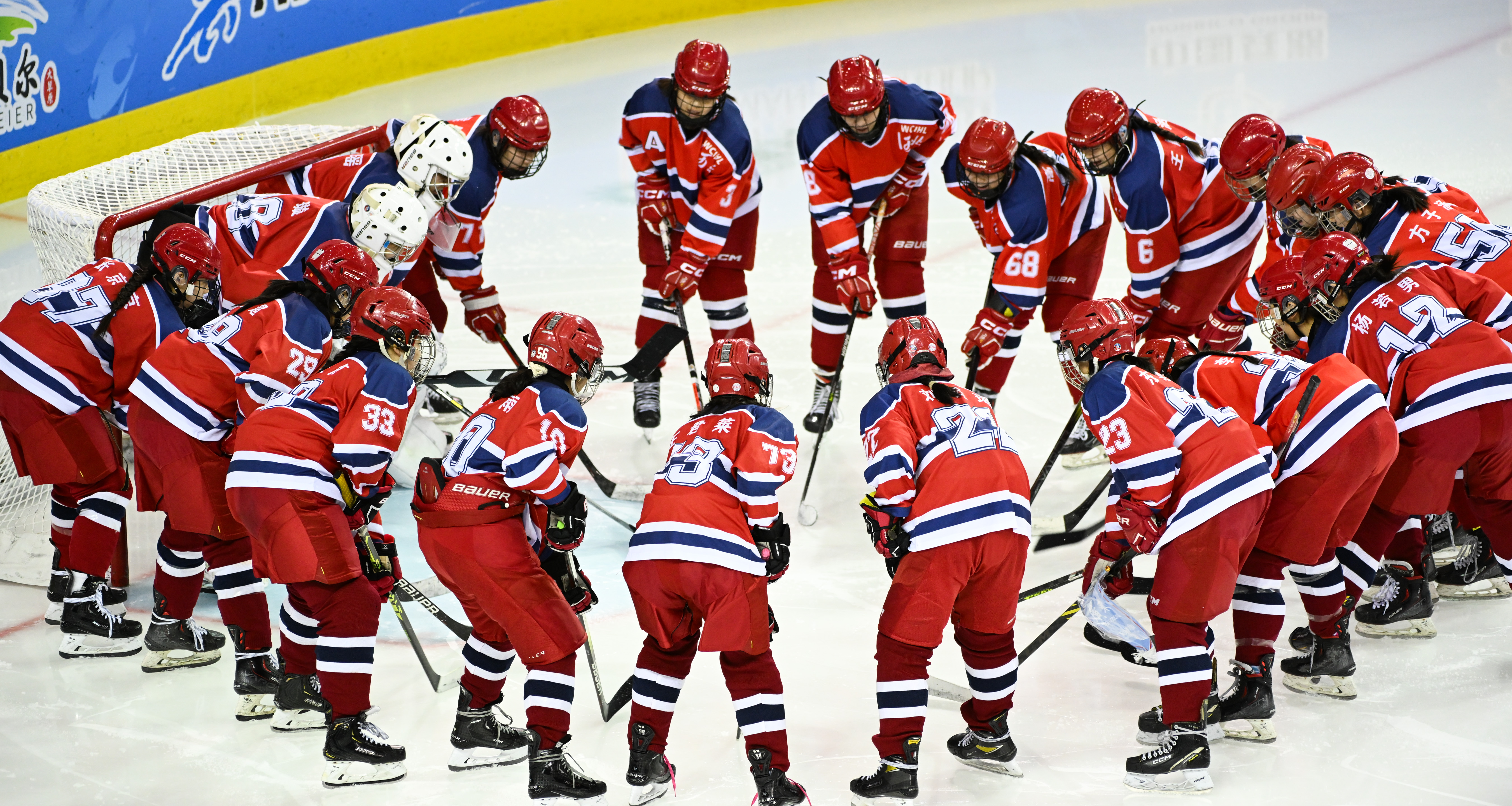 世界赛舞台，冰球代表国家出征荣耀