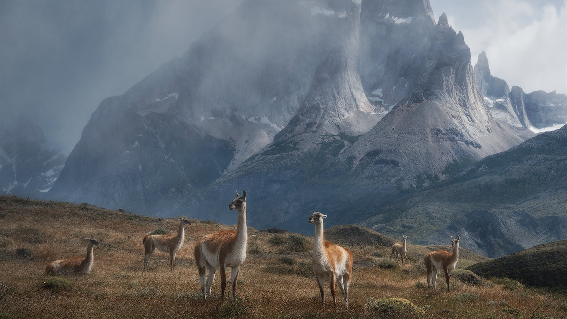 北欧寒刀刺破红色热浪，瑞典战术纪律如何让利物浦球星黯然退场