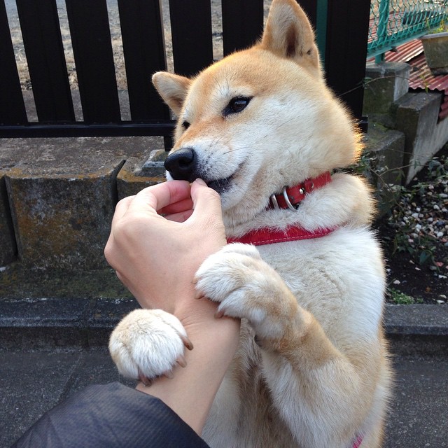 极速篮图,当F1冠军悬念遇上火箭升空