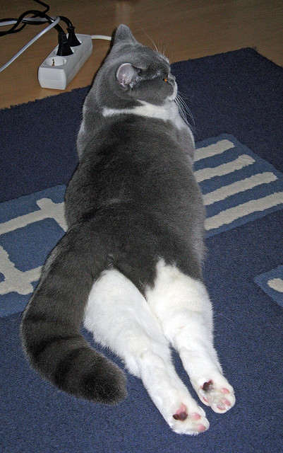 足球的非对称美学，当孙兴慜的个人天赋与尼斯的集体智慧重塑比赛规则