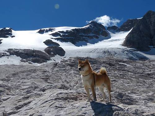 地球两端，同一种心跳，从利马到米兰，足球如何成为我们的共同语言