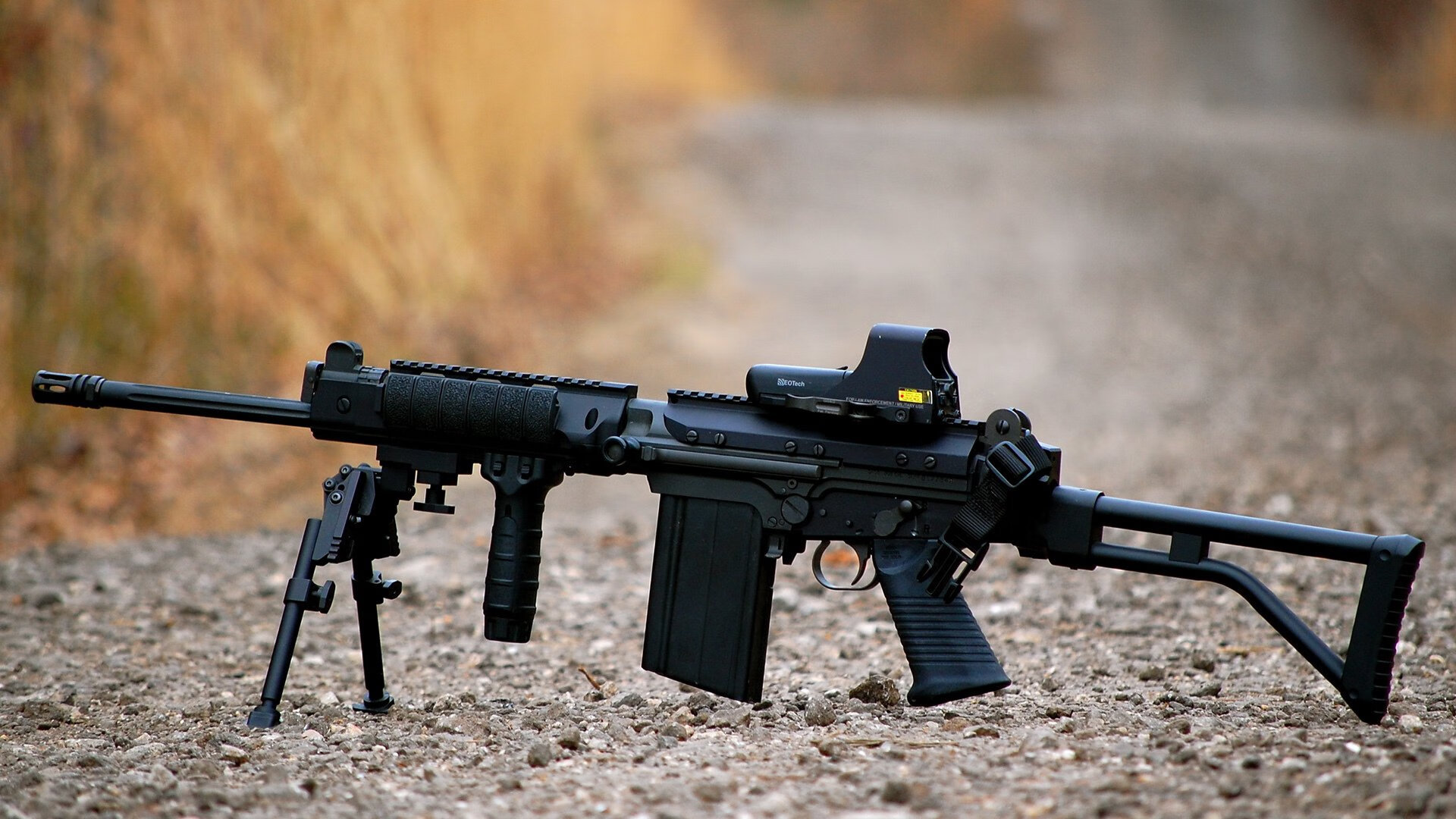 墨西哥城午夜的命运之钟,当布鲁诺在科约阿坎区停下脚步