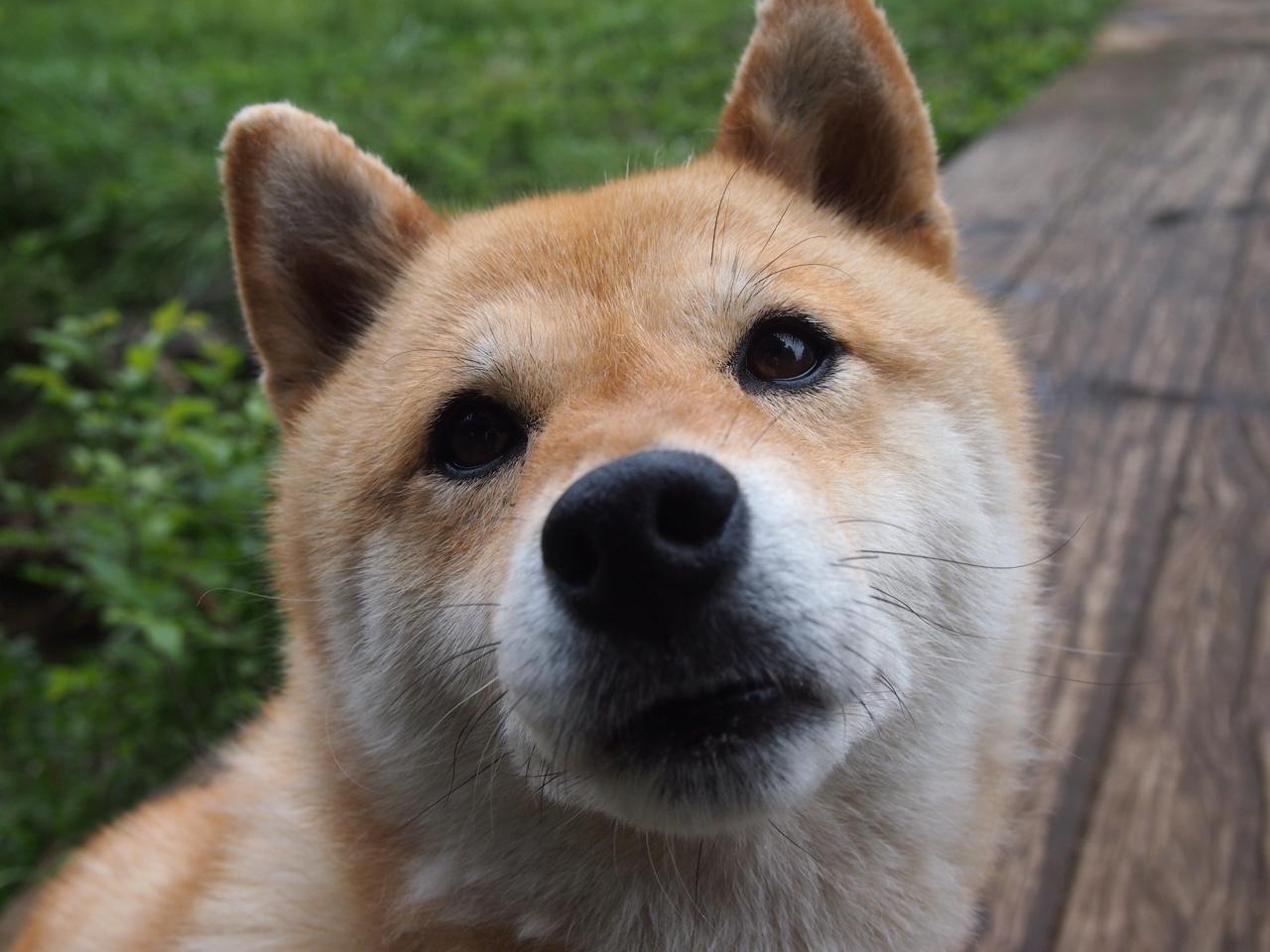 夜火与晨星,那不勒斯鏖战加时破苏格兰铁壁,佩德里亚平宁首秀献大师级接管