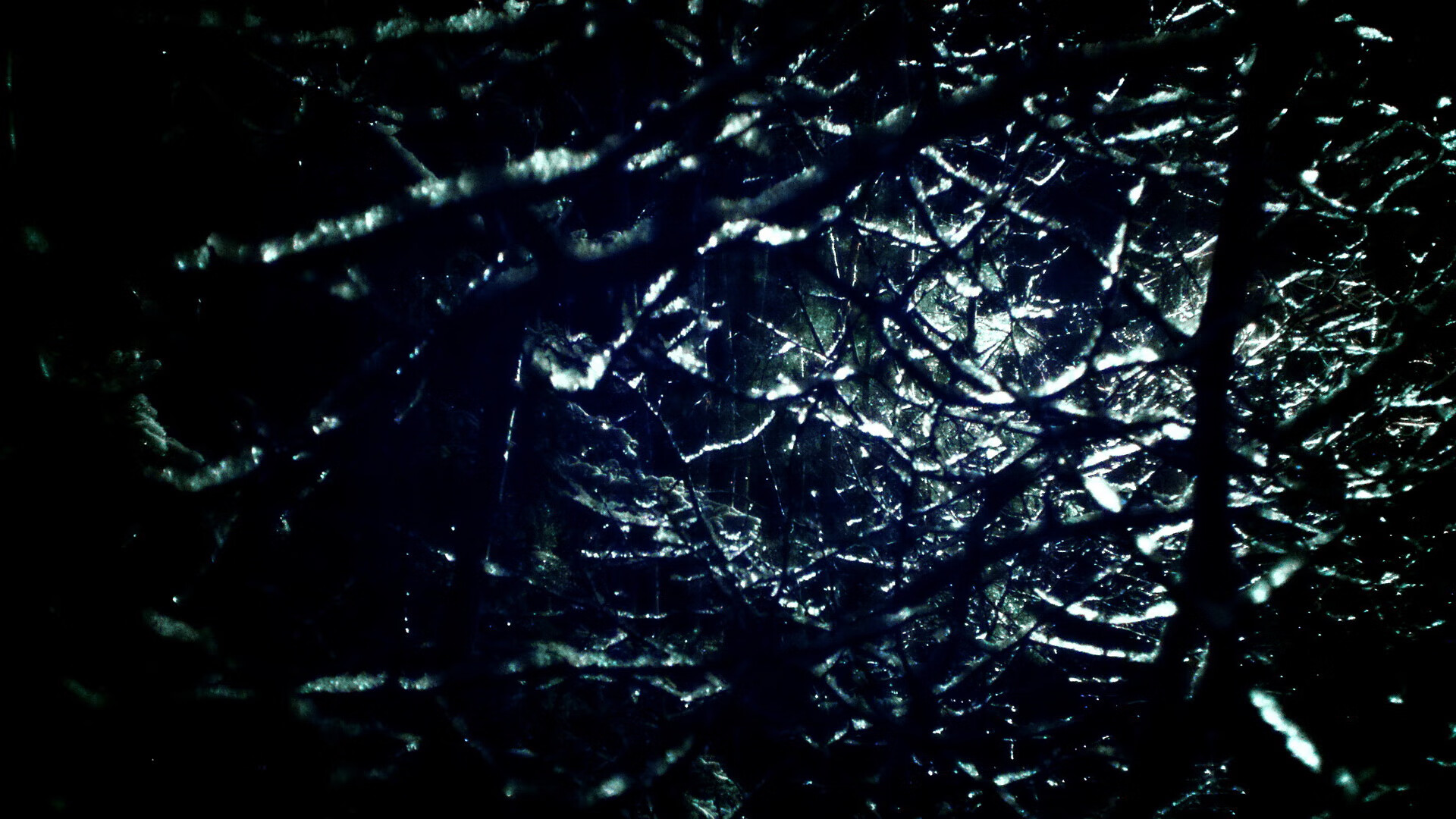 引擎咆哮与篮筐轰鸣,当小贾伦将篮球场化为他的专属赛道