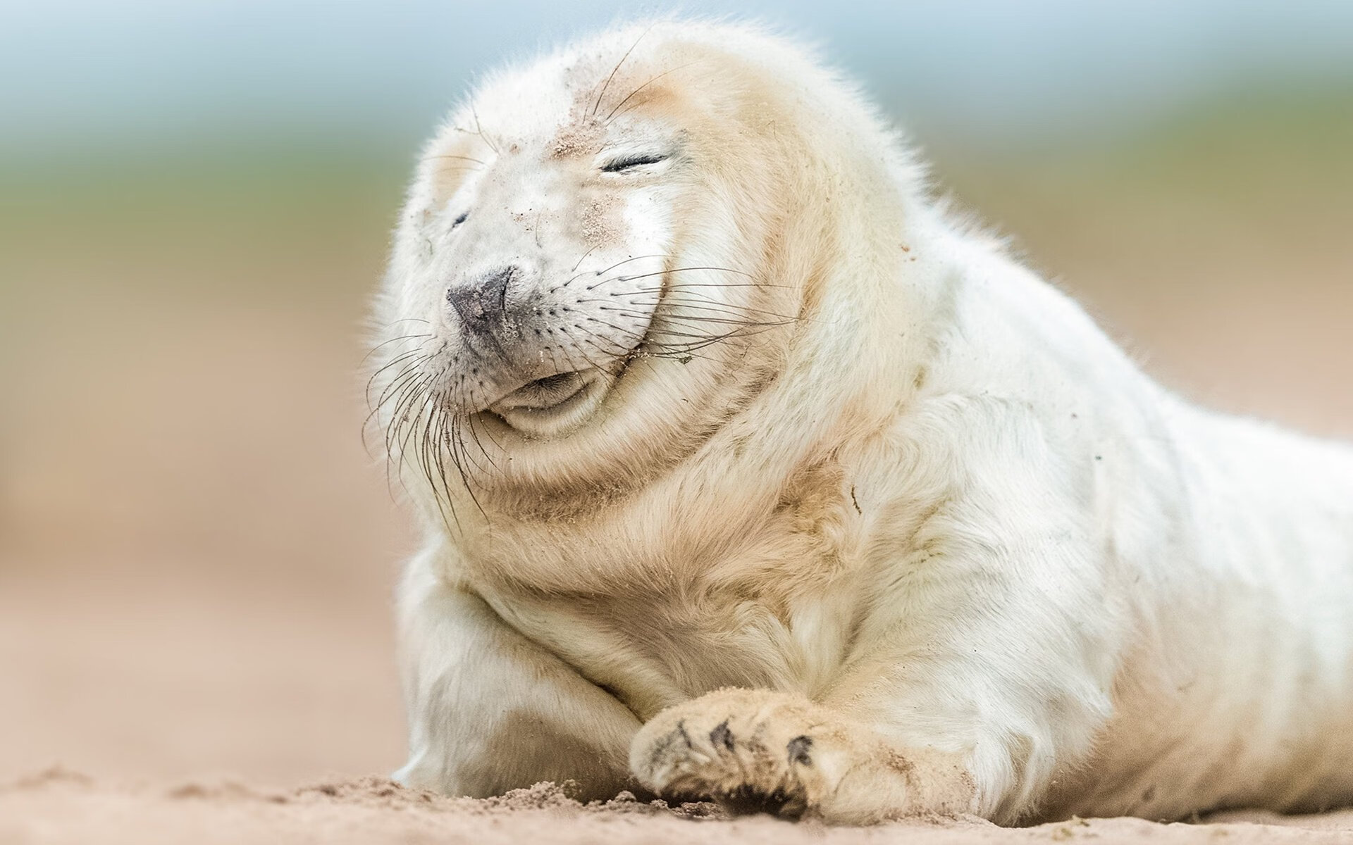 伦敦的钻石，当赖斯用节奏切割曼城的优雅帝国