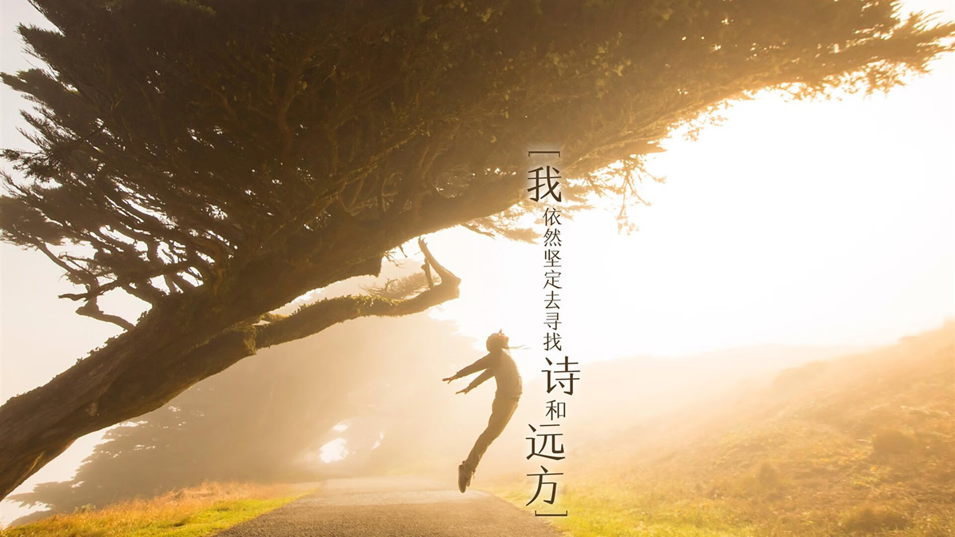 柏林之夜的双雄会，德国战车碾压袋鼠，梅西奇迹为谁作嫁？